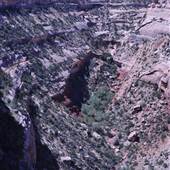 Colorado National Monument - View from Rim Road