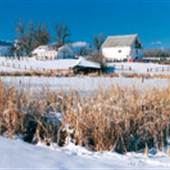 Littleton