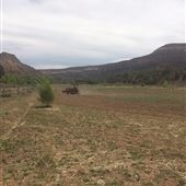 Roc Creek Ranch