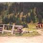Animas Forks