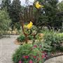 Residential Garden