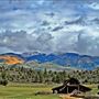 North Star Ranch