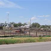 Feedlot in La Junta