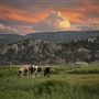 MOUNTAIN SOUTH RANCH