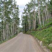 Gothic Road