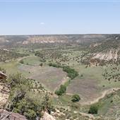 Chancellor Ranch