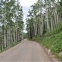 Gothic Road