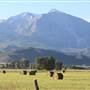 John Nieslanik Ranch