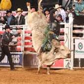 Southwest Motors Events Center