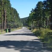 Evergreen Meadows