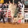 Southwest Motors Events Center
