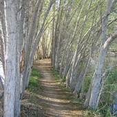 Barr Lake State Park
