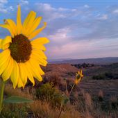 Sun Dagger Site - Canyon Pintado