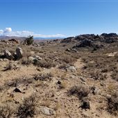 Hartman Rocks