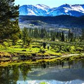 Devil's Thumb Ranch Resort & Spa