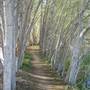 Barr Lake State Park