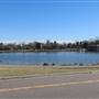 Washington Park