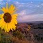 Sun Dagger Site - Canyon Pintado