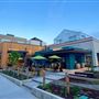 Grow + Gather Urban Farm