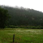 Stoner, CO