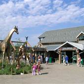 Denver Zoo