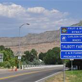 Palisade