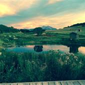 Cedar Ridge Ranch
