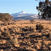 Random Walk Ranch