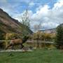 Kessler Canyon Resort
