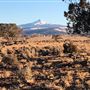 Random Walk Ranch