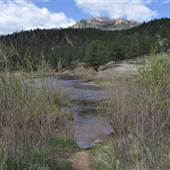Platte River at Pine Creek Road
