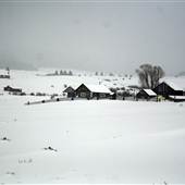 Soward Ranch