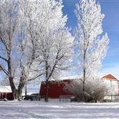 Kinnett Ranch