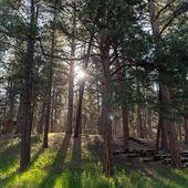 La Foret Conference & Retreat Center