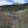Platte River at Pine Creek Road