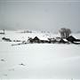 Soward Ranch