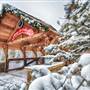 Village At Copper Mountain (Fall/Winter)