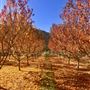 Gunnison River Farms