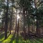La Foret Conference & Retreat Center