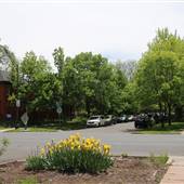 17th and Vine - City West Park