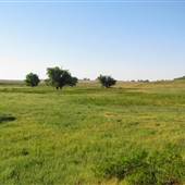 Bret Gray Ranch