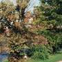 Globeville Landing Park