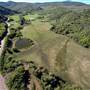 BRUCE CREEK RANCH