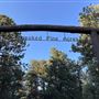 Crooked Pine Acres