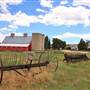 CALF's Lowell Ranch on Plum Creek
