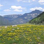 V.A. Poma Ranch