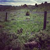 Horse Mountain Ranch