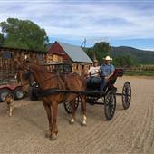 Wild Mountain Ranch