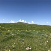Large Acreage of Unobstructed Prairie Views; Clouds, Sunrise and Sunsets; Wildlife and Wildflowers