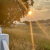 8.5 acre Ranch/Farmhouse close to everything with 5 horses